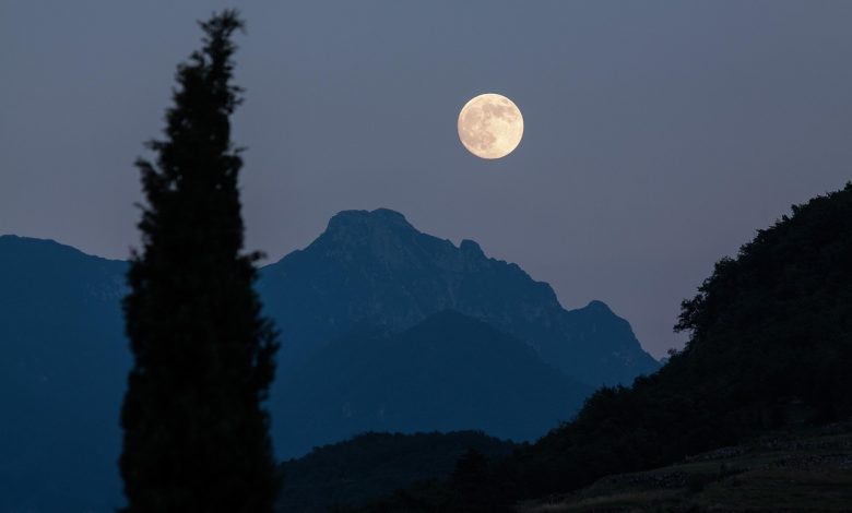 moon, cypress, mountains, moonrise, full moon, romantic, night, eve, nature, dusk, almost night